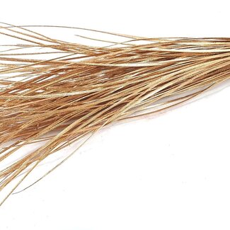 QC Straight Palm Leaf Nerve | Colour: Antique Gold | Straight Ting Ting Dry Decoration | Length ± 70 centimetres | 5 branches per stem | Per bunch