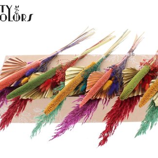 QC Feuille de palmier séchée en forme de lance Bouquet "Assorti" | Couleur : Couleurs Mélangées | Longueur ± 55 centimètres | Par 9 bouquets