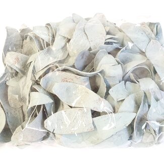 QC Cuillère en bois d'acajou séché | Couleur : Gris givré | Décoration sèche | Contenu du sachet 500 grammes | Par 4 sachets