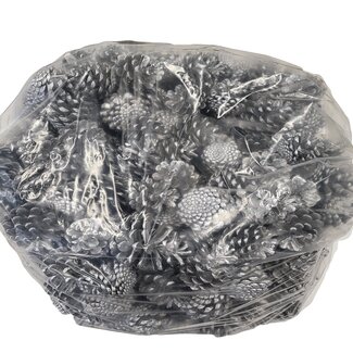 QC Pine Cones | Colour: Silver | Weight 10 kilograms per bag | Per bag