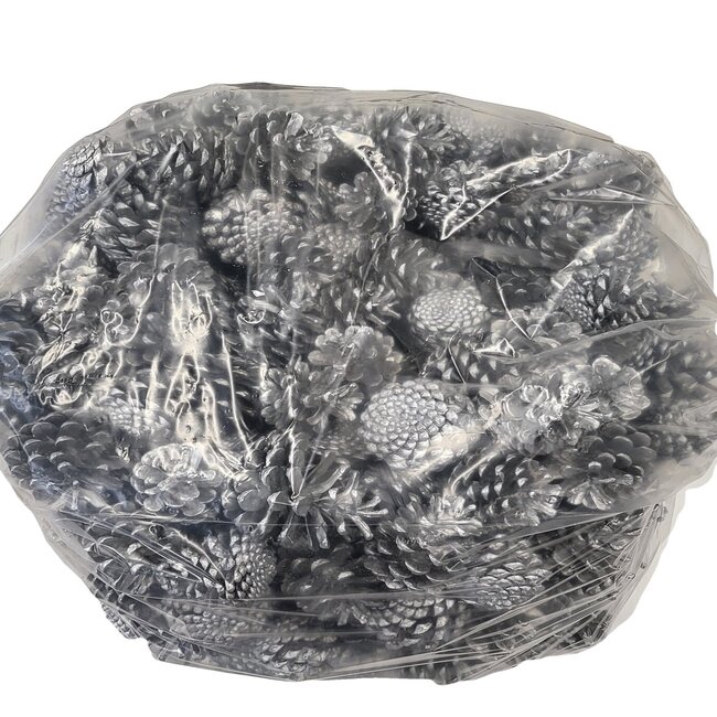 Pine Cones | Colour: Silver | Weight: 10 kilograms per bag | Per bag