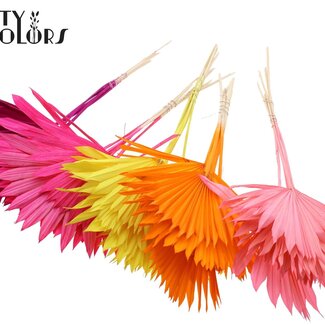 QC Dried Palm Sun Spear | Colour: Intense Mixed Colours | Spear-shaped palm leaves | Length ± 50 centimetres | Per 50 stems