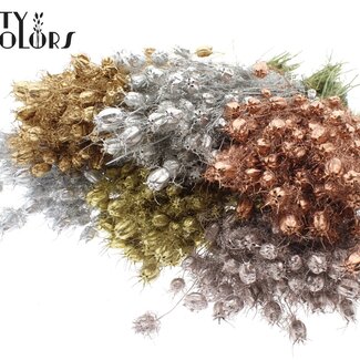 QC Dried Love-in-a-Mist | Metallic Mix | Colour: Mixed Colours | Nigella Dried Flowers | Length ± 45 centimetres | Weight 150 grams | Per bunch