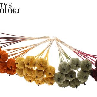 QC Velvet Pumpkin on a stick | Colour: Mixed Colours | Pumpkin Pick | Pumpkin diameter 6 centimetres | Length ± 50 centimetres | 40 picks per bunch