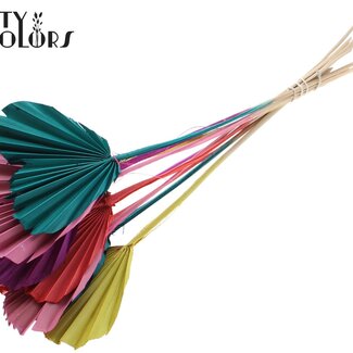 QC Dried Palm Leaf in Heart Shape on Stem | Colour: Mixed Colours | Palm Spear Heart Stake | Length ± 45 centimetres | Per 50 stems