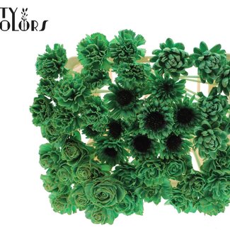 QC Shola Wooden Flower Mix on Stick | Colour: Mint Green | Shola Flower Mix Stick | Stick Length ± 50 centimetres | Per 50 sticks