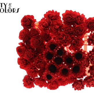QC Shola Wooden Flower Mix on Stick | Colour: Red | Shola Flower Mix Stick | Stick Length ± 50 centimetres | Per 50 sticks