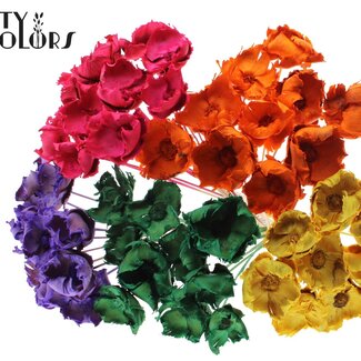 QC Dried Palm Cup on stem | Colour: Mixed Intense Colours | Length ± 50 centimetres | Per 50 stems