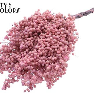 QC Getrocknete Pfefferbeeren-Stecker | Farbe: Rosa | Schinus Trocken-Dekoration | Gewicht ± 170 Gramm | Pro 5 Bündel