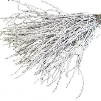 QC Dried Birch Branches | Colour: Natural White with Snow | Length ± 70 centimetres | 10 branches per bunch