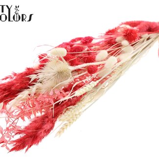 QC Plat Boeket Droogbloemen “Ruby” | Kleur: Rood | Grootte: Medium | Lengte ± 60 centimeter | Per 5 boeketten