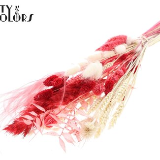 QC Bouquet Plat de Fleurs Séchées “Ruby” | Couleur : Rouge | Taille : Small | Longueur ± 50 centimètres | Par 8 bouquets