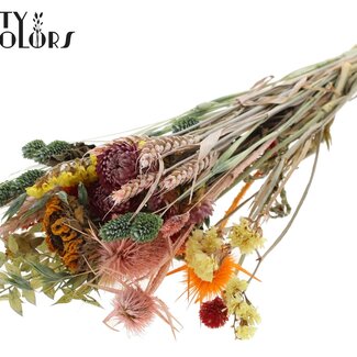 QC Rond Boeket Droogbloemen “Floral” | Kleur: Naturelle Gemengde Kleuren | Grootte: Medium | Lengte ± 60 centimeter | Per 5 boeketten