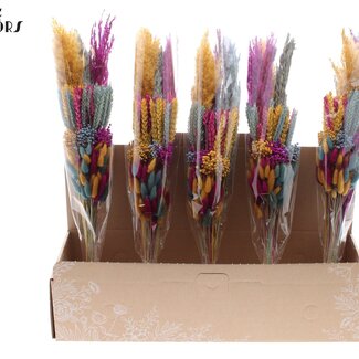 QC Gelaagd Boeket Droogbloemen “Apricot Dreams” | Kleur: Gemengde Kleuren | Lengte ± 50 centimeter | Per 5 boeketten