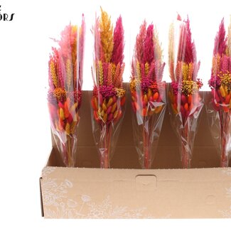 QC Gelaagd Boeket Droogbloemen “Kleurrijk 10” | Kleur: Gemengde Kleuren | Lengte ± 50 centimeter | Per 5 boeketten