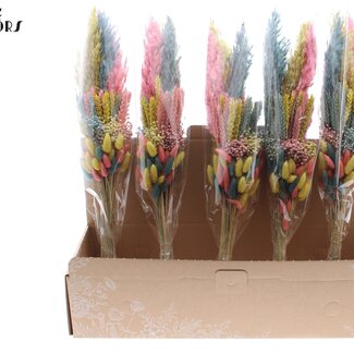QC Layered Bouquet of Dried Flowers “Pastel Prism” | Colour: Mixed Colours | Length ± 50 centimetres | Per 5 bouquets