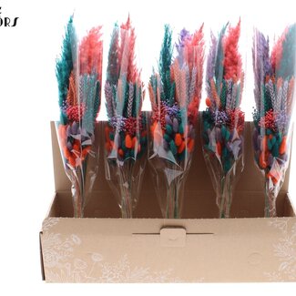 QC Bouquet de Fleurs Séchées Superposé “Coloré 4” | Couleur : Couleurs Mixtes | Longueur ± 50 centimètres | Par 5 bouquets