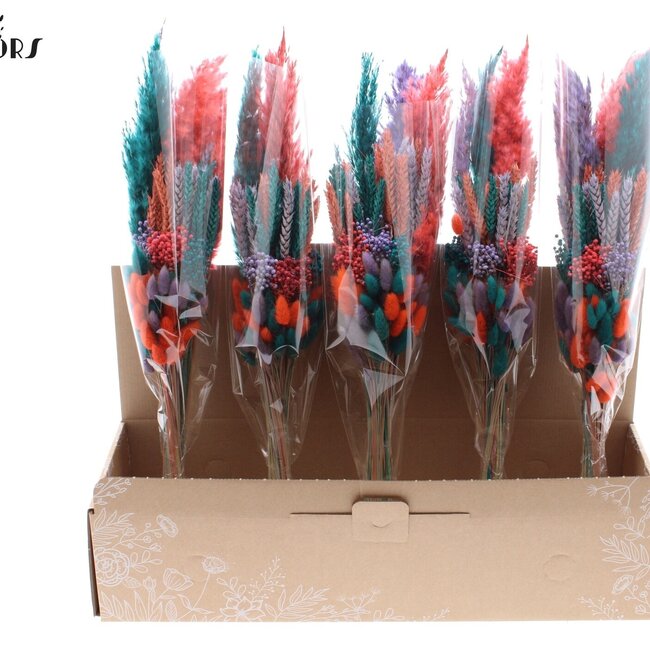 Bouquet de Fleurs Séchées en Couches “Coloré 4” | Couleur : Couleurs Mixtes | Longueur ± 50 centimètres | Par 5 bouquets