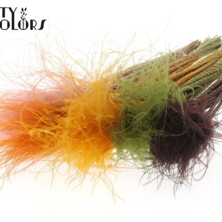 QC Stipa Pennée Séchée | Earth Mix | Couleur : Couleurs Mélangées | Fleurs Séchées Stypha Penata | Longueur ± 60 centimètres | 10 plumets par bouquet | Par 10 bouquets