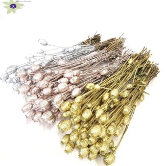 QC Pavot Séché | Mélange de Mariage | Couleur : Couleurs Mélangées | Fleurs Séchées de Papaver Somniferum | Longueur ± 60 centimètres | Poids 200 grammes | Par 6 bouquets