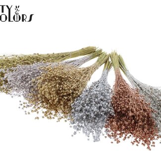 QC Gedroogd Lino Vlas | Kleur: Metallic Gemengde Kleuren | Linum Droogbloemen | Lengte ± 50 centimeter | Gewicht 150 gram | Per 6 bossen