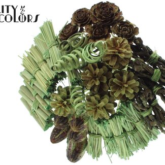 QC Bouquet Mix on Stick | Colour: Light Green | Length of stick-in ± 50 centimetres | 40 stick-ins per bunch | Per bunch