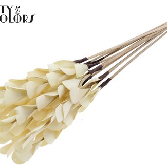 QC Dried Palm Wood on Stem | Colour: Natural | Palm Pine Stick | Length ± 50 centimetres | Per 50 sticks