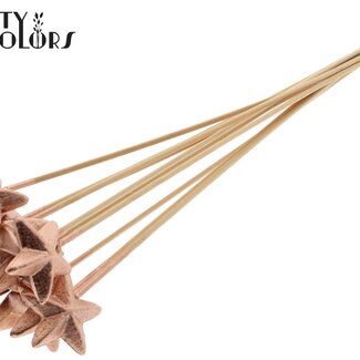 QC Styropor Stern am Stab | Farbe: Kupferfarben | Styropor Stern flacher Einstecker | Länge ± 50 Zentimeter | Pro 50 Einstecker