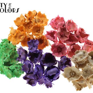 QC Dried Palm Cup on Stem | Colour: Mixed Intense Frosted Colours | Length ± 50 centimetres | Per 50 stems