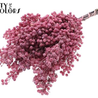 QC Gedroogde Peperbessen Bijstekers | Kleur: Frosted Roze | Schinus Droogdecoratie | Gewicht ± 170 gram | Per 5 bossen