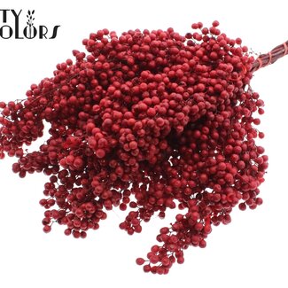 QC Gedroogde Peperbessen Bijstekers | Kleur: Rood | Schinus Droogdecoratie | Gewicht ± 170 gram | Per 5 bossen