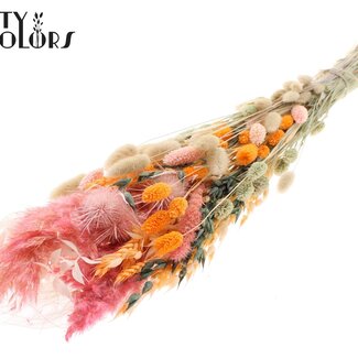 QC Plat Boeket Droogbloemen “Blush” | Kleur: Abrikooskleurig | Grootte: Large | Lengte ± 70 centimeter | Per 5 boeketten