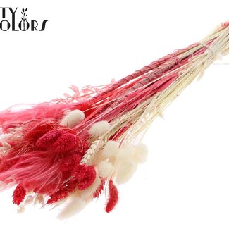 QC Bouquet Rond de Fleurs Séchées “Ruby” | Couleur : Rouge | Taille : Large | Longueur ± 70 centimètres | Par 5 bouquets