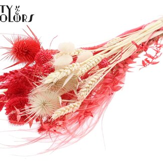 QC Bouquet Rond de Fleurs Séchées “Ruby” | Couleur : Rouge | Taille : Small | Longueur ± 50 centimètres | Par 8 bouquets