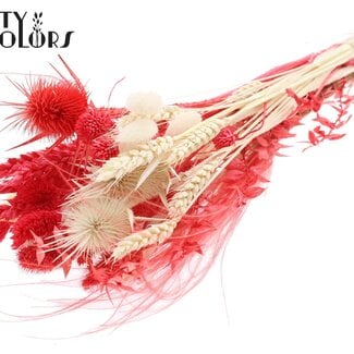 QC Rond Boeket Droogbloemen “Ruby” | Kleur: Rood | Grootte: Small | Lengte ± 50 centimeter | Per 8 boeketten