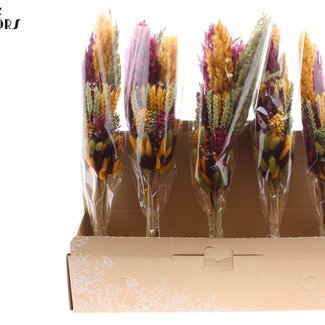QC Gelaagd Boeket Droogbloemen “Pumpkin Spice” | Kleur: Gemengde Kleuren | Lengte ± 50 centimeter | Per 5 boeketten