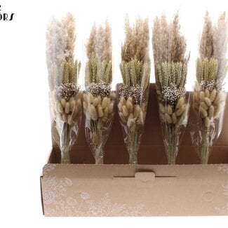 QC Geschichteter Trockenblumenstrauß „Natural“ | Farbe: Natur | Länge ± 50 Zentimeter | Pro 5 Sträuße