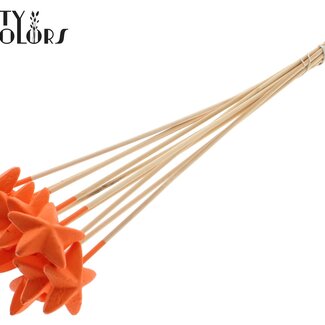 QC Styropor Stern auf Stab | Farbe: Orange | Styro Stern flache Einstecker | Länge ± 50 Zentimeter | Pro 50 Einstecker