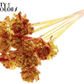 QC Shola Houten Karnish Flower on stick | Colour: Speckled Yellow Red | Shola Karnish Flower Stake | Flower diameter 6 centimetres | Stake length ± 50 centimetres | 10 stakes per bunch