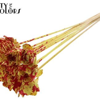QC Shola Wooden Rose on Stick | Colour: Speckled Yellow Red | Shola Dear Holly Pick | Rose diameter 6 centimetres | Pick length ± 50 centimetres | 10 picks per bunch
