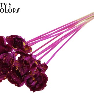 QC Shola Houten Rose auf Stiel | Farbe: Gesprenkeltes Fliederfarbenes Gelb | Shola Dear Holly Stecker | Durchmesser der Rose 6 Zentimeter | Länge des Steckers ± 50 Zentimeter | 10 Stecker pro Bund
