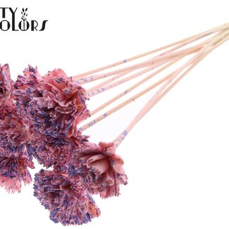 QC Shola Houten Carnation Flower on Stick | Colour: Speckled Pink Milk Purple | Shola Carnation Flower Stick | Flower Diameter 6 centimetres | Stick Length ± 50 centimetres | 10 sticks per bunch