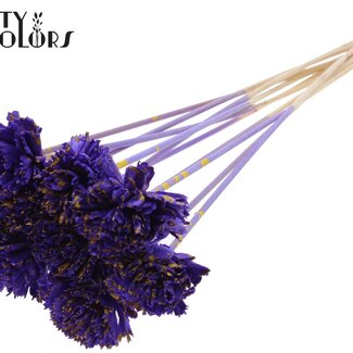 QC Shola Houten Karnish Fleur sur tige | Couleur : Moucheté Violet Jaune | Shola Karnish Fleur Piquet | Diamètre de la fleur 6 centimètres | Longueur du piquet ± 50 centimètres | 10 piquets par bouquet