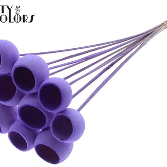 QC Bellgums séchés | Couleur : Intense couleur Milka | Bell Cup Pique-fleurs | Longueur ± 50 centimètres | 10 pique-fleurs par bouquet