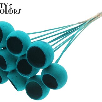 QC Gedroogde Bellgums | Kleur: Intens Turquoise | Bell Cup Bijsteker | Lengte ± 50 centimeter | 10 bijstekers per bos