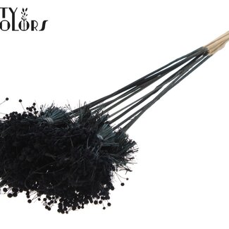 QC Mini Button Flowers Bouquet on Stick | Colour: Black | Mini Button Stick-in | Length ± 50 centimetres | 10 stems per bunch