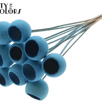 QC Gedroogde Bellgums | Kleur: Intens Lichtblauw | Bell Cup Bijsteker | Lengte ± 50 centimeter | 10 bijstekers per bos