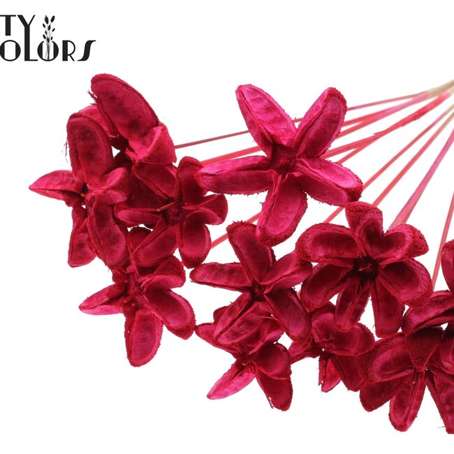 Rambutan without spines on stick | Colour: Red | Rambutan Stem Decoration | Length ± 50 centimetres | 10 stem decorations per bunch