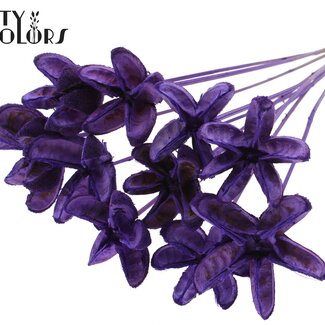 QC Rambutan without spines on a stick | Colour: Milka purple | Rambutan Pick | Length ± 50 centimetres | 10 picks per bunch