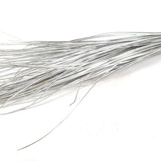 QC Nerf Droit de Feuille de Palmier | Couleur : Argenté | Straight Ting Ting Décoration Sèche | Longueur ± 70 centimètres | 5 ramifications par branche | Par bouquet